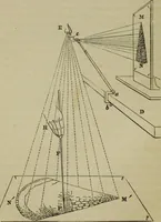 An illustration from A practical treatise on the use of the microscope, including the different methods of preparing and examining animal, vegetable, and mineral structures (1848)