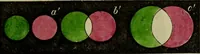 An illustration from A practical treatise on the use of the microscope, including the different methods of preparing and examining animal, vegetable, and mineral structures (1848)