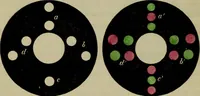 An illustration from A practical treatise on the use of the microscope, including the different methods of preparing and examining animal, vegetable, and mineral structures (1848)