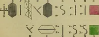 An illustration from A practical treatise on the use of the microscope, including the different methods of preparing and examining animal, vegetable, and mineral structures (1848)