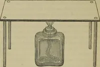 An illustration from A practical treatise on the use of the microscope, including the different methods of preparing and examining animal, vegetable, and mineral structures (1848)