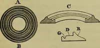 An illustration from A practical treatise on the use of the microscope, including the different methods of preparing and examining animal, vegetable, and mineral structures (1848)
