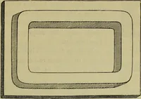 An illustration from A practical treatise on the use of the microscope, including the different methods of preparing and examining animal, vegetable, and mineral structures (1848)