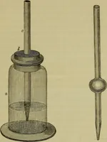 An illustration from A practical treatise on the use of the microscope, including the different methods of preparing and examining animal, vegetable, and mineral structures (1848)
