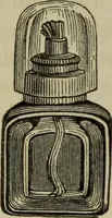 An illustration from A practical treatise on the use of the microscope, including the different methods of preparing and examining animal, vegetable, and mineral structures (1848)