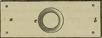An illustration from A practical treatise on the use of the microscope, including the different methods of preparing and examining animal, vegetable, and mineral structures (1848)