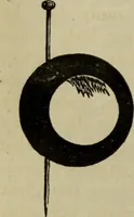 An illustration from A practical treatise on the use of the microscope, including the different methods of preparing and examining animal, vegetable, and mineral structures (1848)