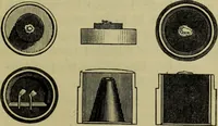 An illustration from A practical treatise on the use of the microscope, including the different methods of preparing and examining animal, vegetable, and mineral structures (1848)
