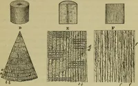 An illustration from A practical treatise on the use of the microscope, including the different methods of preparing and examining animal, vegetable, and mineral structures (1848)