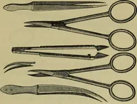 An illustration from A practical treatise on the use of the microscope, including the different methods of preparing and examining animal, vegetable, and mineral structures (1848)
