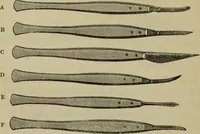 An illustration from A practical treatise on the use of the microscope, including the different methods of preparing and examining animal, vegetable, and mineral structures (1848)
