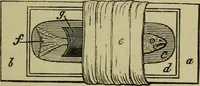 An illustration from A practical treatise on the use of the microscope, including the different methods of preparing and examining animal, vegetable, and mineral structures (1848)