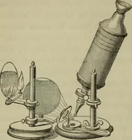 An illustration from A practical treatise on the use of the microscope, including the different methods of preparing and examining animal, vegetable, and mineral structures (1848)