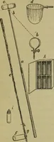 An illustration from A practical treatise on the use of the microscope, including the different methods of preparing and examining animal, vegetable, and mineral structures (1848)