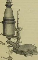An illustration from A practical treatise on the use of the microscope, including the different methods of preparing and examining animal, vegetable, and mineral structures (1848)