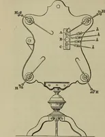 An illustration from A practical treatise on the use of the microscope, including the different methods of preparing and examining animal, vegetable, and mineral structures (1848)