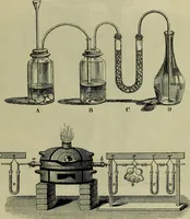 An illustration from A practical treatise on the use of the microscope, including the different methods of preparing and examining animal, vegetable, and mineral structures (1848)