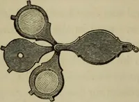 An illustration from A practical treatise on the use of the microscope, including the different methods of preparing and examining animal, vegetable, and mineral structures (1848)
