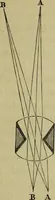 An illustration from A practical treatise on the use of the microscope, including the different methods of preparing and examining animal, vegetable, and mineral structures (1848)