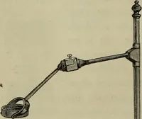An illustration from A practical treatise on the use of the microscope, including the different methods of preparing and examining animal, vegetable, and mineral structures (1848)