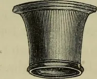 An illustration from A practical treatise on the use of the microscope, including the different methods of preparing and examining animal, vegetable, and mineral structures (1848)