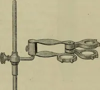 An illustration from A practical treatise on the use of the microscope, including the different methods of preparing and examining animal, vegetable, and mineral structures (1848)