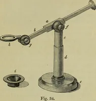 An illustration from A practical treatise on the use of the microscope, including the different methods of preparing and examining animal, vegetable, and mineral structures (1848)