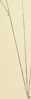 An illustration from A practical workshop companion for tin, sheet iron and copper plate workers : containing rules for describing various kinds of patterns used by tin, sheet iron and copper plate workers : practical geometry, mensuration of surfaces and solids, tables of the weights of metals, lead pipe, etc., tables of areas and circumferences of circles : japans, varnishes, lackers, cements, compositions, etc., etc., etc. (1876)