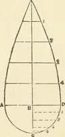 An illustration from A practical workshop companion for tin, sheet iron and copper plate workers : containing rules for describing various kinds of patterns used by tin, sheet iron and copper plate workers : practical geometry, mensuration of surfaces and solids, tables of the weights of metals, lead pipe, etc., tables of areas and circumferences of circles : japans, varnishes, lackers, cements, compositions, etc., etc., etc. (1876)