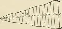 An illustration from A practical workshop companion for tin, sheet iron and copper plate workers : containing rules for describing various kinds of patterns used by tin, sheet iron and copper plate workers : practical geometry, mensuration of surfaces and solids, tables of the weights of metals, lead pipe, etc., tables of areas and circumferences of circles : japans, varnishes, lackers, cements, compositions, etc., etc., etc. (1876)