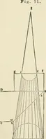 An illustration from A practical workshop companion for tin, sheet iron and copper plate workers : containing rules for describing various kinds of patterns used by tin, sheet iron and copper plate workers : practical geometry, mensuration of surfaces and solids, tables of the weights of metals, lead pipe, etc., tables of areas and circumferences of circles : japans, varnishes, lackers, cements, compositions, etc., etc., etc. (1876)