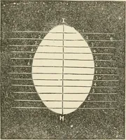 An illustration from A practical workshop companion for tin, sheet iron and copper plate workers : containing rules for describing various kinds of patterns used by tin, sheet iron and copper plate workers : practical geometry, mensuration of surfaces and solids, tables of the weights of metals, lead pipe, etc., tables of areas and circumferences of circles : japans, varnishes, lackers, cements, compositions, etc., etc., etc. (1876)