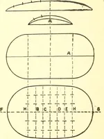 An illustration from A practical work-shop companion for tin, sheet-iron, and copper-plate workers ... with numerous valuable receipts and manipulations for every-day use in the work-shop (1904)