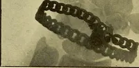Picture 2 of 43 from Practical X ray work (1901), leaf 29