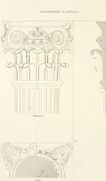 An illustration from Practice of architecture : containing the five orders of architecture and an additional column and entablature, with all their elements and details explained and illustrated, for the use of carpenters and practical men. (1835)