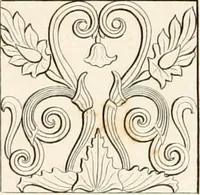 An illustration from Practice of architecture : containing the five orders of architecture and an additional column and entablature, with all their elements and details explained and illustrated, for the use of carpenters and practical men. (1835)