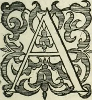 An illustration from Practycke der Nederlansche rechten, van de daghelijcksche soo civile als criminele questien (1645)