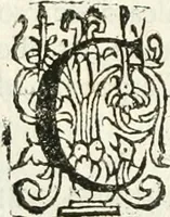 An illustration from Practycke der Nederlansche rechten, van de daghelijcksche soo civile als criminele questien (1645)