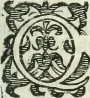 An illustration from Practycke der Nederlansche rechten, van de daghelijcksche soo civile als criminele questien (1645)