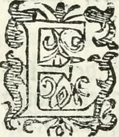 An illustration from Practycke der Nederlansche rechten, van de daghelijcksche soo civile als criminele questien (1645)