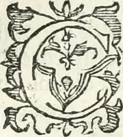 An illustration from Practycke der Nederlansche rechten, van de daghelijcksche soo civile als criminele questien (1645)