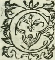 An illustration from Practycke der Nederlansche rechten, van de daghelijcksche soo civile als criminele questien (1645)