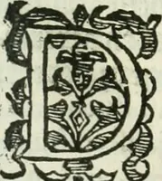 An illustration from Practycke der Nederlansche rechten, van de daghelijcksche soo civile als criminele questien (1645)