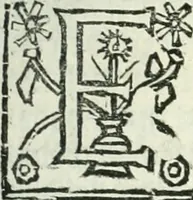 An illustration from Practycke der Nederlansche rechten, van de daghelijcksche soo civile als criminele questien (1645)