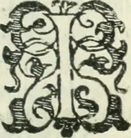 An illustration from Practycke der Nederlansche rechten, van de daghelijcksche soo civile als criminele questien (1645)
