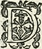 An illustration from Practycke der Nederlansche rechten, van de daghelijcksche soo civile als criminele questien (1645)