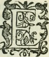 An illustration from Practycke der Nederlansche rechten, van de daghelijcksche soo civile als criminele questien (1645)