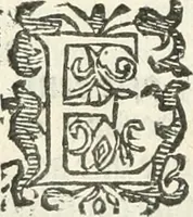 An illustration from Practycke der Nederlansche rechten, van de daghelijcksche soo civile als criminele questien (1645)