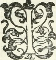 An illustration from Practycke der Nederlansche rechten, van de daghelijcksche soo civile als criminele questien (1645)