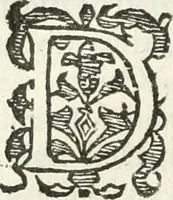 An illustration from Practycke der Nederlansche rechten, van de daghelijcksche soo civile als criminele questien (1645)